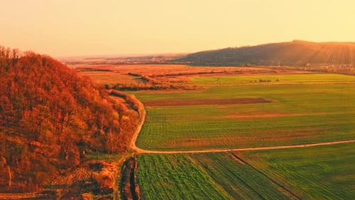 Aerial View of Green Fields at Sunrise