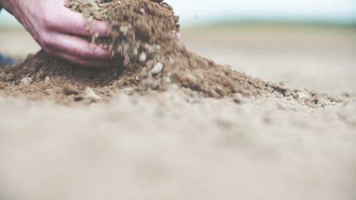 Farmer Holding Soil in Hands