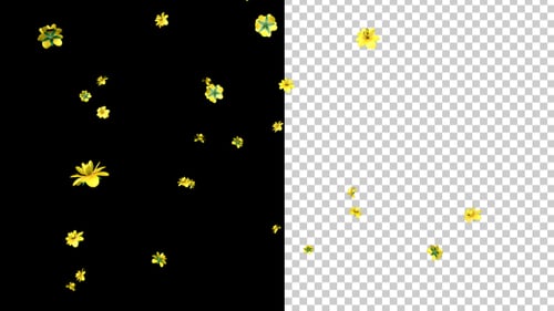 Falling Yellow Flowers Animation Overlay