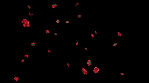 Rain of Red Flowers