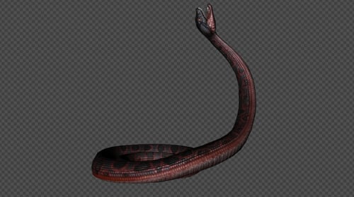Red Snake Die And Get Up And PassOut Pack 8 en 1
