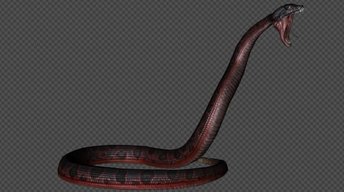 Red Snake Feuerpaket 7 in 1