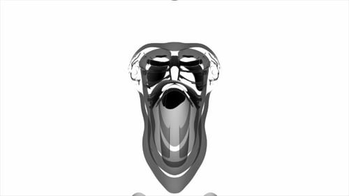Anatomy Tomography Scan of Human Body