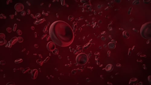 Blood Cells Under a Large Increase Move Along the Artery or Vein
