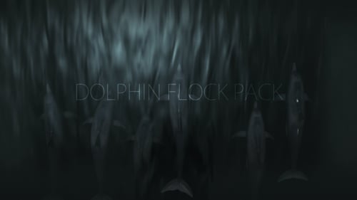 Dolphin Flock-Paket