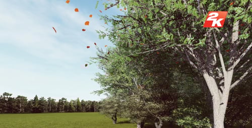 Animated Autumn Leaves Falling from Green Trees