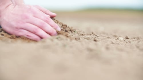 Agricultural Background. Farmer Holding Soil in Hands