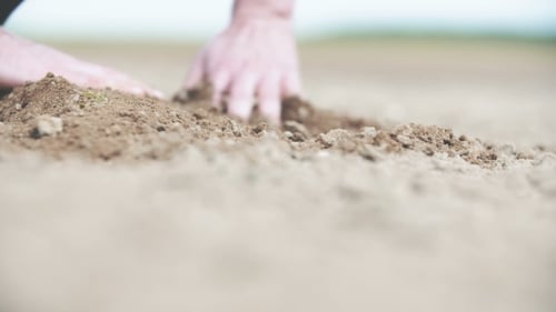 Adult Hands Puts Dirt Into Place on Farm