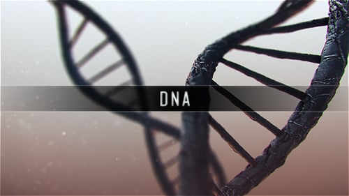 3D Animated DNA Double Helix for Science and Technology