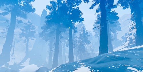 The Forest In Winter Day 1