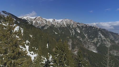 Above Forest Mountain in Winter