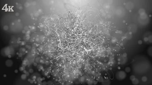 Black and White Strings Particles Loop Background