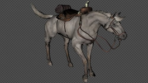 A Horse With A Saddle Firing Pack 10 In 1