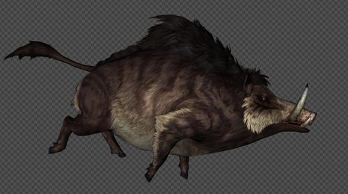 Wildboar Run And Wlak And Run Stop Pack 6 In 1