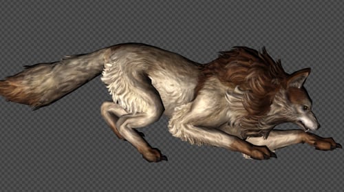 Animated Wolf Attack and Movement Cycle