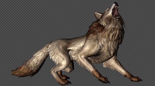 Animated Wolf Cycle with Howling and Running on Alpha Channel