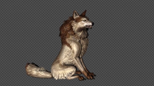 Realistic Animated Wolf with Walking, Sitting, Howling, and Running