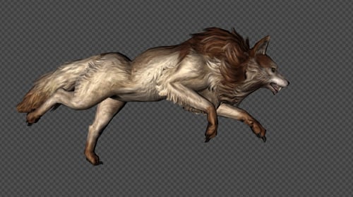 Wolf Run And Walk Pack 6 In 1