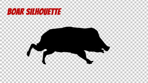 Wildschwein-Silhouette beim Laufen