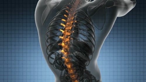 3D Animation of Glowing Human Spine and Back Pain