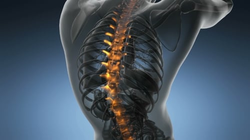 Animated Glowing Human Spine Medical Scan Visualization