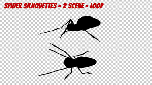 Spider Silhouettes - 2 Scene