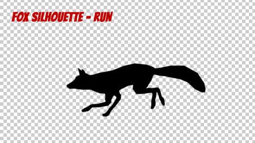 Fox Silhouette - Correr