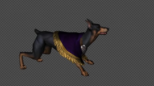 Dark Dog Attack And Firing Pack 6 in 1