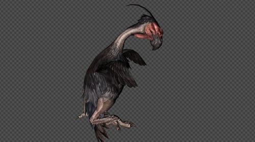Axe Beak Die And Down Out Pack 8 en 1