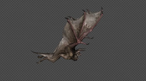 Realistic Bat Flying Animation with Transparent Background