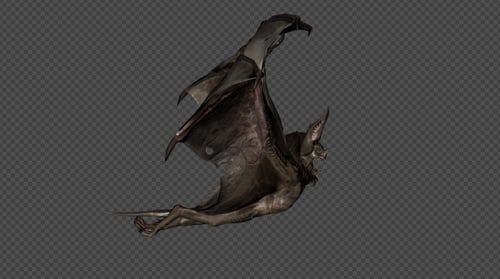 3D Animated Flying Bat Cycle