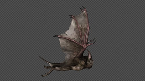 Bat Fly Walk Pack 4 In 1