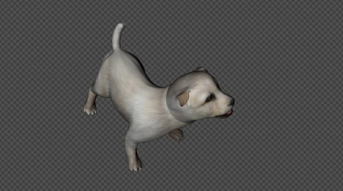 Puppy Idle2 4 In 1