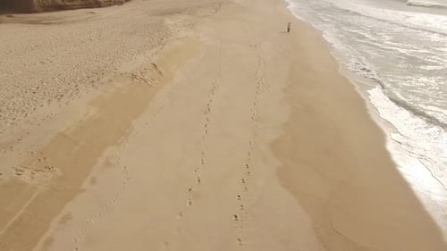 Endless Ocean