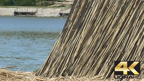 Bâtiment Reed près du lac