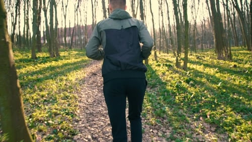 Back Look of a Young Man Running in the Forest