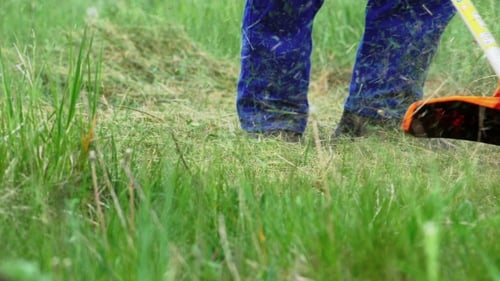 The Garden Worker Cuts the Grass With a Trimmer