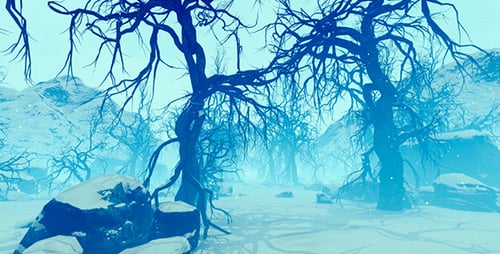 Old Forest In Winter