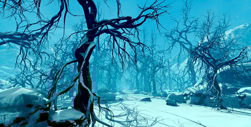 Fabulous Winter Forest