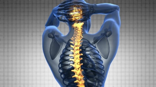3D Medical Animation of Glowing Human Spine and Skeleton