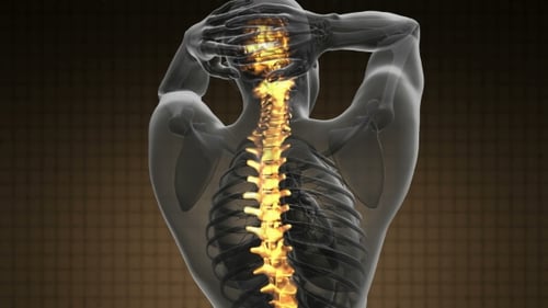Animated Human Spine X-Ray with Glowing Vertebrae