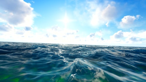 Hand Camera In The Ocean