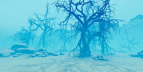 Old Forest And Mountains