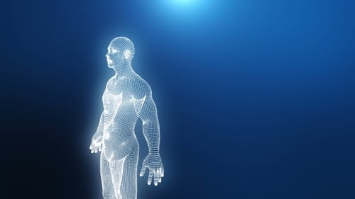 Rotating Digital Human Body Wireframe Scan Animation