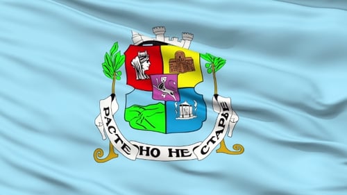 Waving Flag with Detailed Coat of Arms Emblem Animation