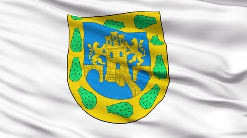 Waving Realistic Flag with Detailed Coat of Arms Seamless Loop
