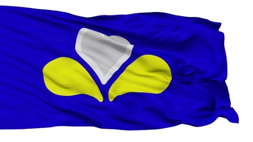 Waving Flag with Stylized Heart and Petal Emblem