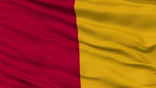 Red and Yellow Divided Flag Waving Loop