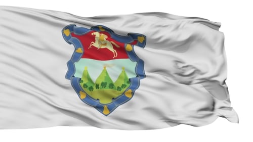 Waving Flag with Detailed Coat of Arms Emblem