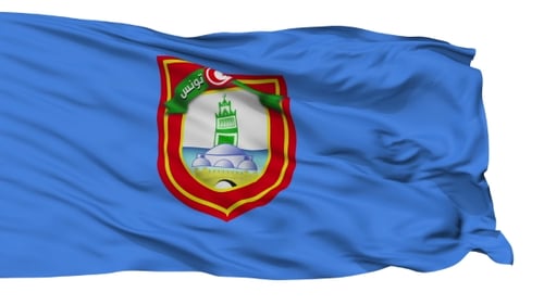 Tunis City Flag Realistic Seamless Loop